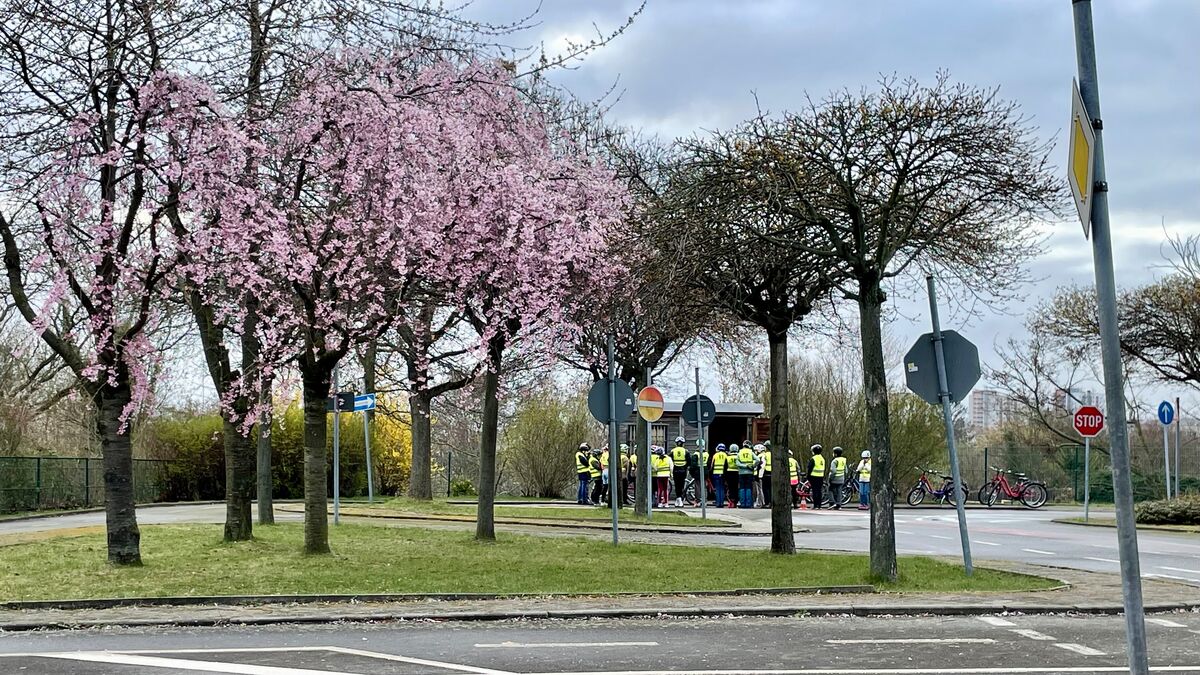 Klasse 4 Fahrradausbildung © 48. Grundschule Dresden